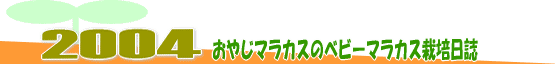 䤸ޥ饫Υ٥ӡޥ饫2004